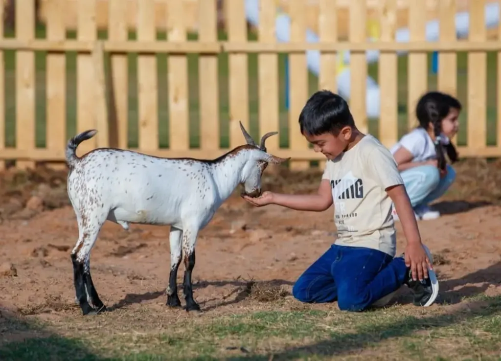 المرور بمنطقة المزرعة حجز تذاكر سفاري الرياض.