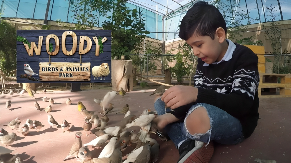 وودي بارك Woody Park.
