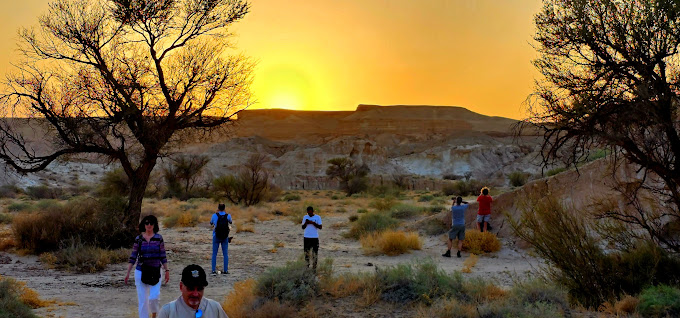 محمية الملك خالد.